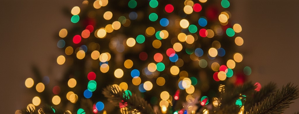 bokeh christmas lights Greenville